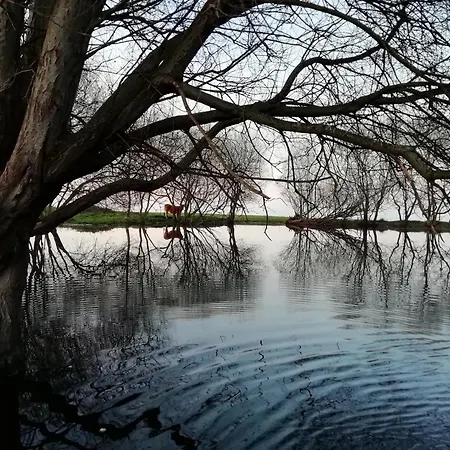 Jardin San Pelayo Niembro