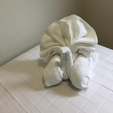 Jardin San Pelayo Apartament